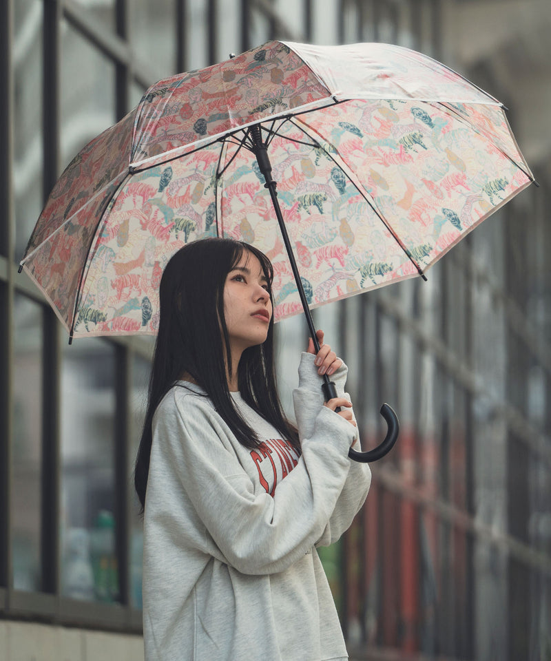 [Arrive in April] Chiu Plastic Umbrella K418