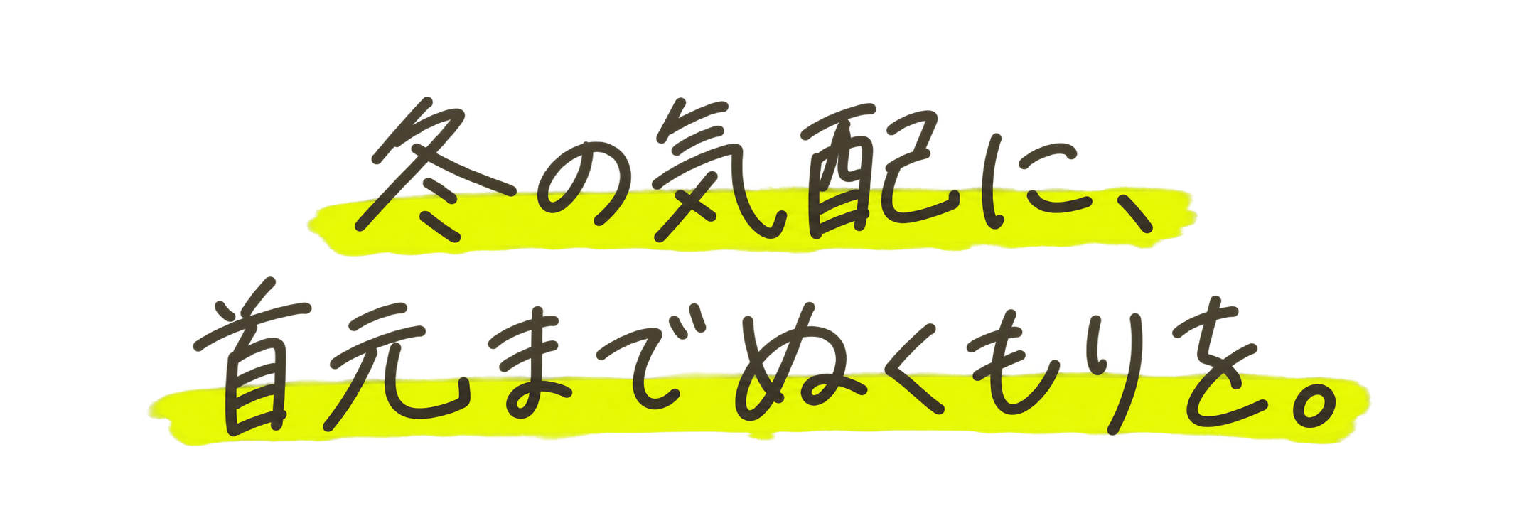 冬の気配に、首元までぬくもりを。